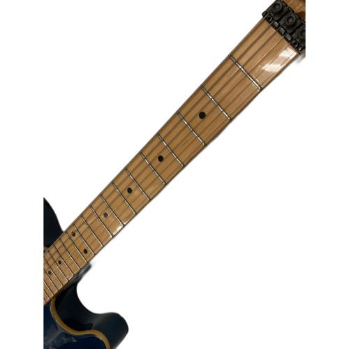 SCHECTER (シェクター) Order Model(TLシェイプ、ブルー) テレキャスタータイプ エレキギター @