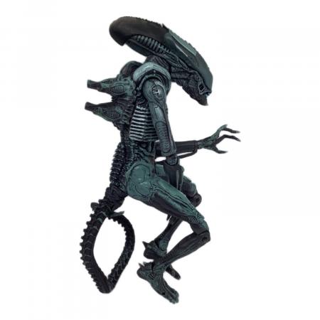 NECA (ネカ) ARACHNOID ALIEN フィギュア ① エイリアン VS プレデター