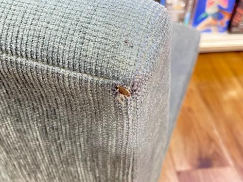 TRUCK FURNITURE (トラックファニチャー) 2人掛けソファー @ グレー