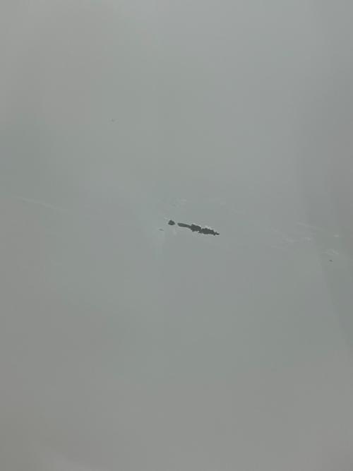 HITACHI (ヒタチ) 全自動洗濯機 NW-50J 2024年製 ｸﾘｰﾆﾝｸﾞ済