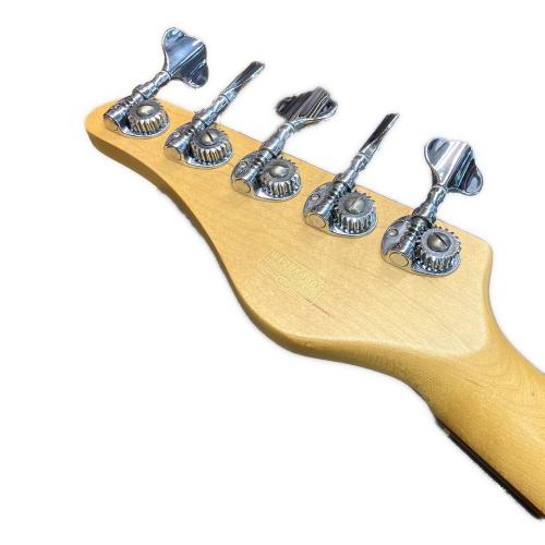 SCHECTER (シェクター) Diamond Series プレシジョンベースタイプ エレキベース 5弦 AD-DIAMOND-P-5 2012年製 @