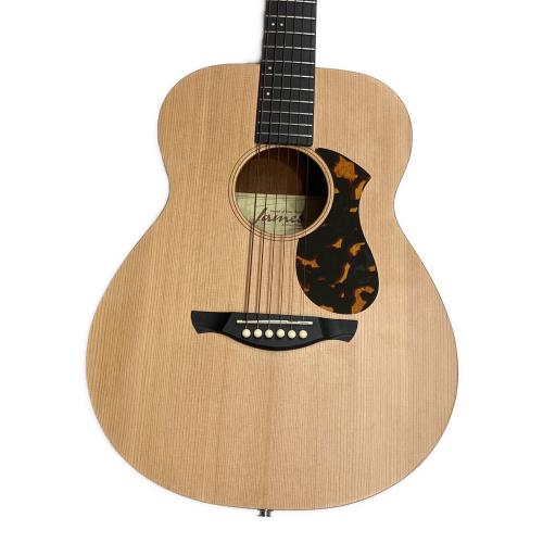 James (ジェームス) エレアコギター J-300CPS NAS