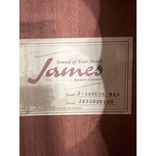 James (ジェームス) エレアコギター J-300CPS NAS