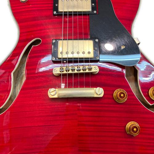 Washburn (ワッシュバーン) セミアコ エレキギター HB35WRK