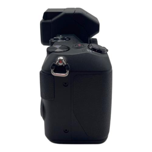 Nikon (ニコン) デジタル一眼レフカメラ Nikon1 V2  ボディ