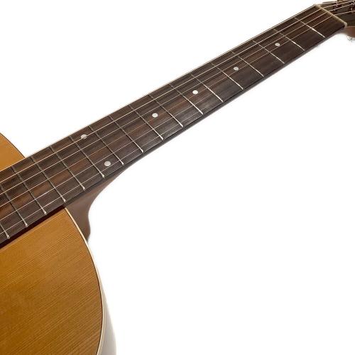 Seagull (シーガル) アコースティックギター Coastline S6 Ceder GT