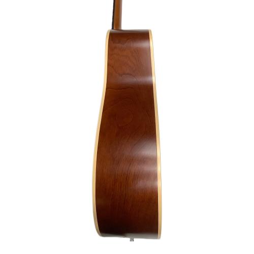 Seagull (シーガル) アコースティックギター Coastline S6 Ceder GT