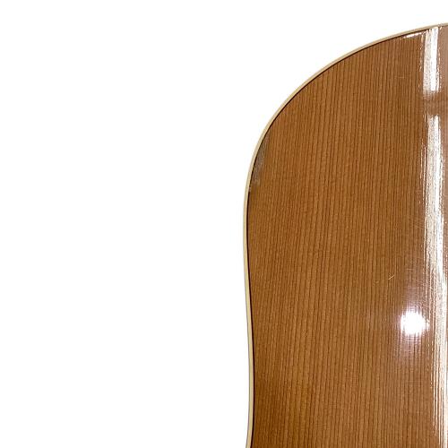 Seagull (シーガル) アコースティックギター Coastline S6 Ceder GT