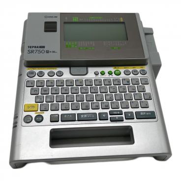 CASIO (カシオ) AIペット Moflin（モフリン） PE-M10 箱付
