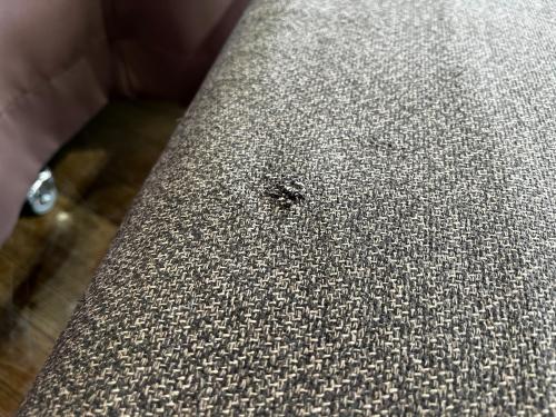 無印良品 (ムジルシリョウヒン) ベンチ 281 ダークグレー