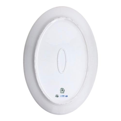 ROYAL COPENHAGEN (ロイヤル・コペンハーゲン) オーバルプレート 底面キズ多数1212/11507 ブルーファン