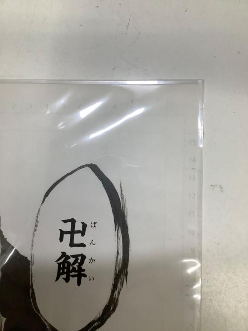 BLEACH (ブリーチ) 複製原稿2枚セット -506.The Fire 2- <BLEACH EX.> BB4 山本元柳斎重國　「卍解」「 残火の太刀」 B4サイズ