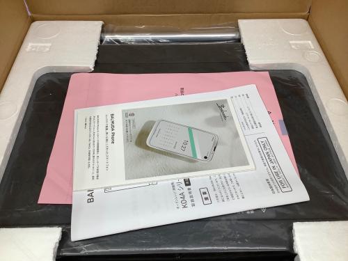 BALMUDA (バルミューダ) オーブンレンジ The Range K04A-BK ブラック