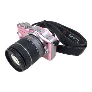 Panasonic (パナソニック) ミラーレス一眼カメラ DMC-GF3