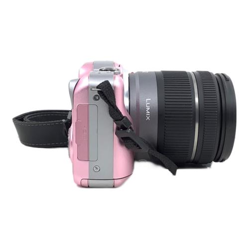 Panasonic (パナソニック) ミラーレス一眼カメラ DMC-GF3