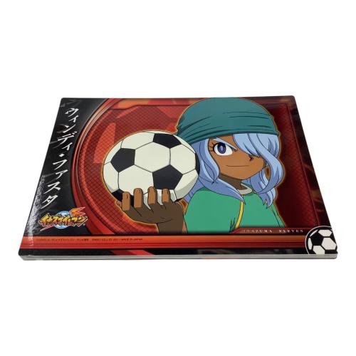 イナズマイレブン ビッグカードコレクションセット