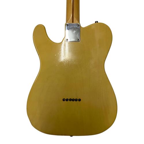 FREEDOM CUSTOM GUITER RESERCH テレキャスタータイプ