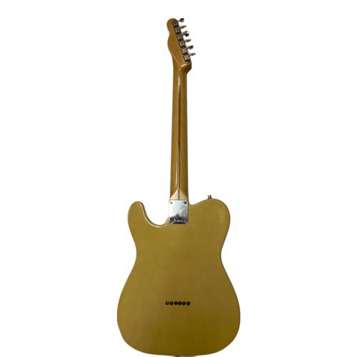 FREEDOM CUSTOM GUITER RESERCH テレキャスタータイプ