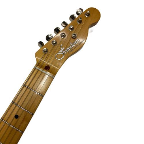 FREEDOM CUSTOM GUITER RESERCH テレキャスタータイプ