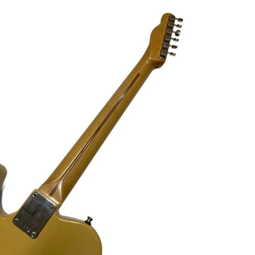 FREEDOM CUSTOM GUITER RESERCH テレキャスタータイプ