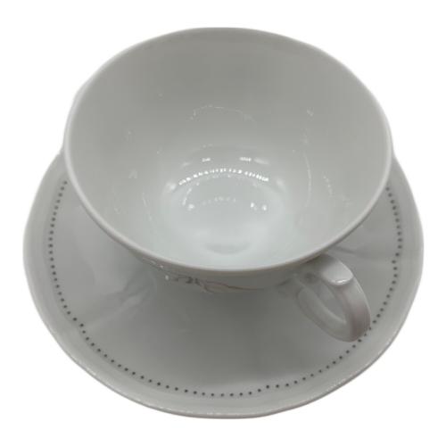 RICHARD GINORI (リチャードジノリ) カップ&ソーサー AKIRA MINAGAWA