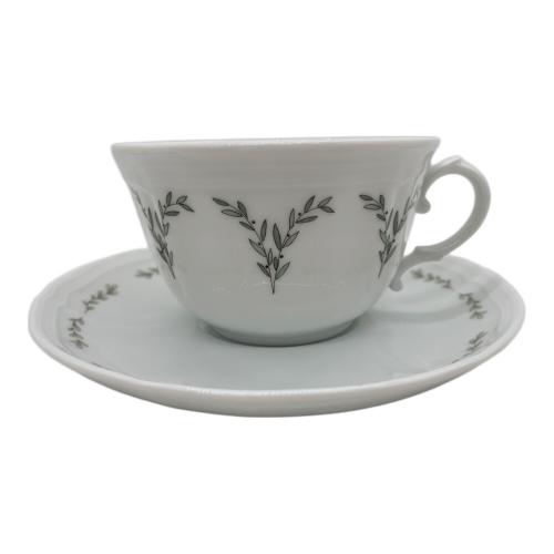 RICHARD GINORI (リチャードジノリ) カップ&ソーサー AKIRA MINAGAWA