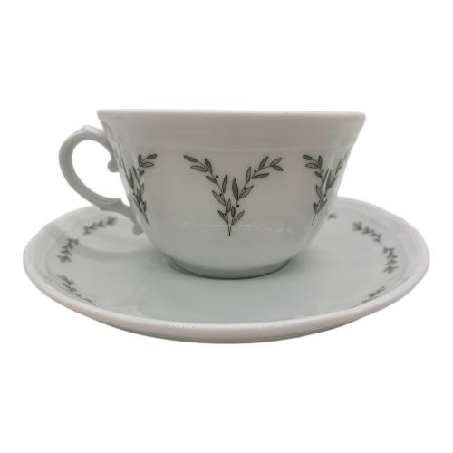 RICHARD GINORI (リチャードジノリ) カップ&ソーサー AKIRA MINAGAWA