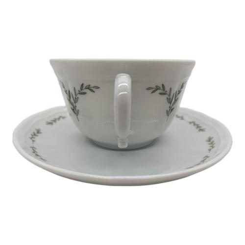 RICHARD GINORI (リチャードジノリ) カップ&ソーサー AKIRA MINAGAWA