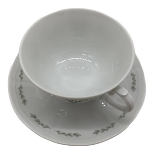 RICHARD GINORI (リチャードジノリ) カップ&ソーサー AKIRA MINAGAWA