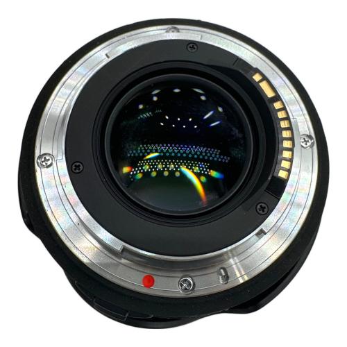 SIGMA (シグマ) ズームレンズ EX SIGMA DC HSM 10204057