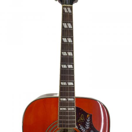 EPIPHONE (エピフォン) Hummingbird PRO/FC エレアコギター