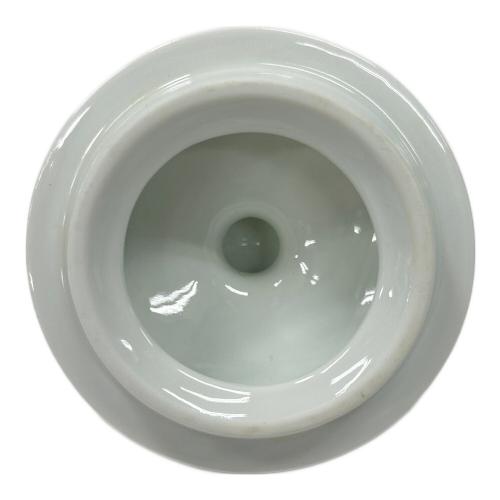 RICHARD GINORI (リチャードジノリ) ティーポット ホワイト ボンジョルノ