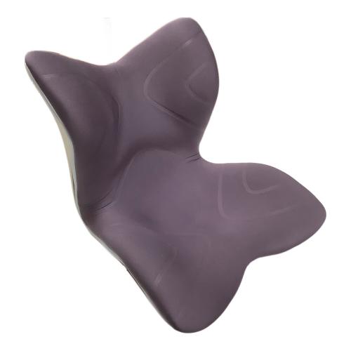 MTG (エムティージー) 骨盤サポートチェア BS-PR2004F STYLE PREMIUM