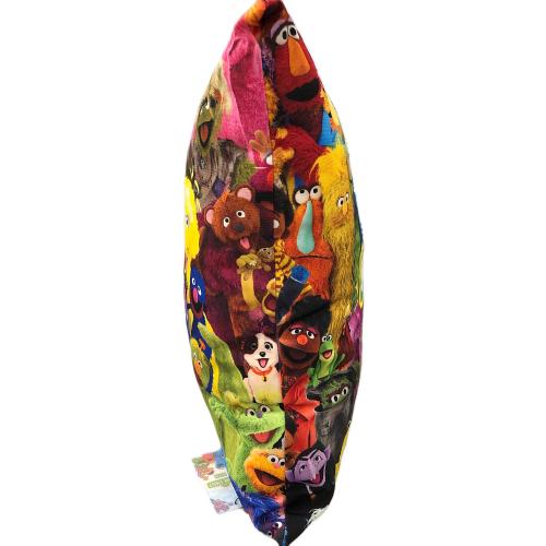 KITH (キス) SESAME STREET（セサミストリート） PILLOW 24-001-060-0046-4-0