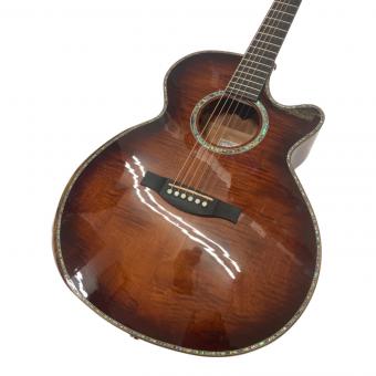 Headway (ヘッドウェイ) エレアコギター HSJ-5130SE Japan Tune-up Series 動作確認済み JT220531