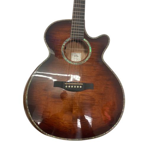 Headway (ヘッドウェイ) エレアコギター HSJ-5130SE Japan Tune-up Series 動作確認済み JT220531