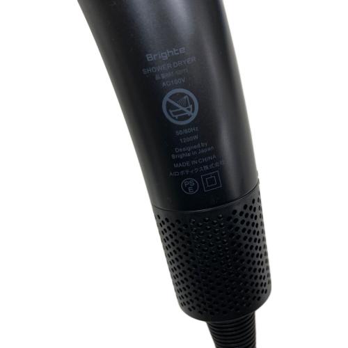 Brighte (ブライト) シャワードライヤー BRT-SD173