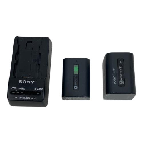 SONY (ソニー) ビデオカメラ HDR-PJ540