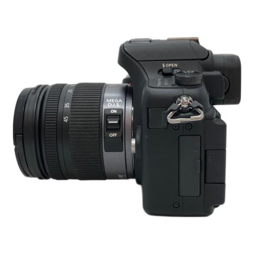 Panasonic (パナソニック) 一眼レフカメラ DMC-GH1 LUMIX