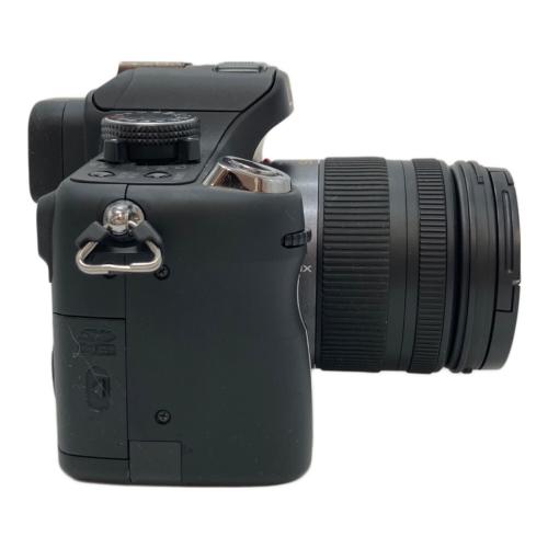 Panasonic (パナソニック) 一眼レフカメラ DMC-GH1 LUMIX