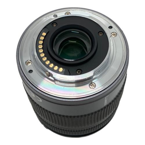 Panasonic (パナソニック) 一眼レフカメラ DMC-GH1 LUMIX