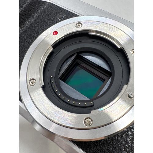 Panasonic (パナソニック) ミラーレス一眼カメラ LUMIX GX7 Mark II DMC-GX7MK2 シルバー×ブラック