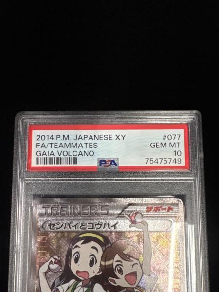 PSA10 センパイとコウハイ ポケモンカード @ Π｜トレファクONLINE