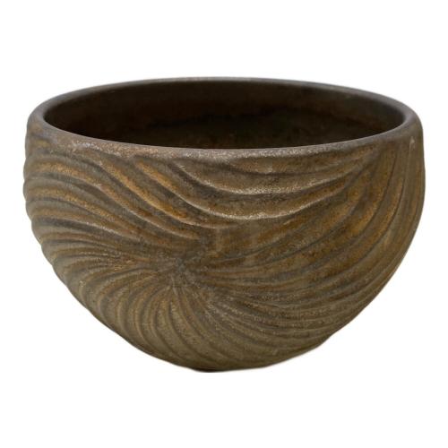 新里竜子 植木鉢