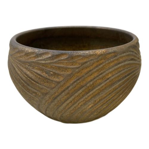 新里竜子 植木鉢