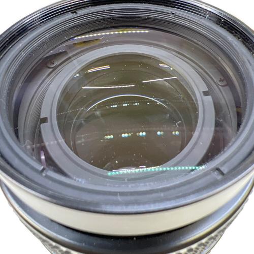 Nikon (ニコン) レンズ AF NIKKOR 75-300mm 1:4.5-5.6 -