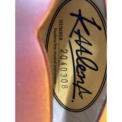 kaalena (カーレナ) KA-SA エレキギター KA2040308P