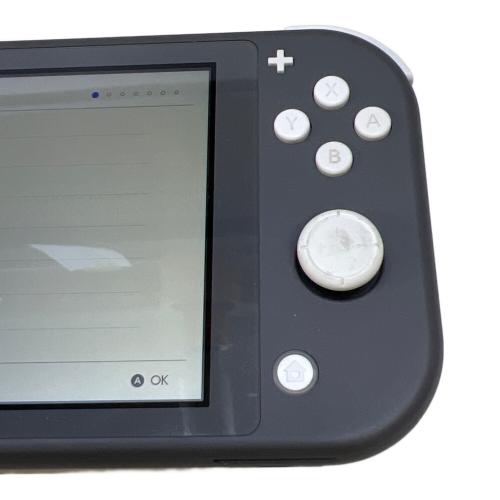 Nintendo (ニンテンドウ) Nintendo Switch Lite