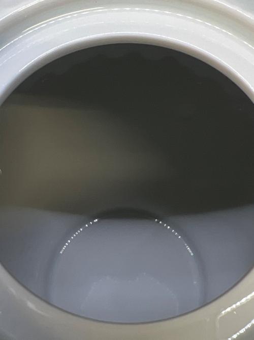 Meissen (マイセン) ティーポット 波の戯れホワイト