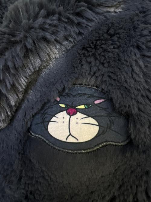 Disney RESORT (ディズニーリゾート) ルシファー ファンキャップ